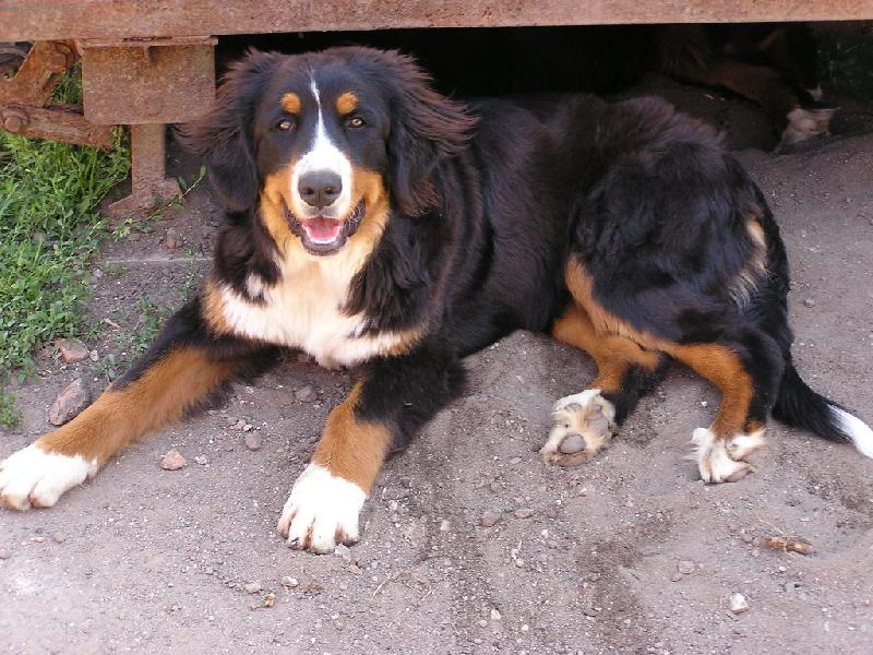 Foto: Audinka-p�l roku