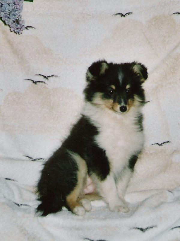 Foto: Pod �e��kem-Kam ti pt�ci let� ?