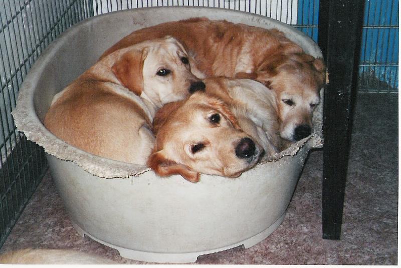 Foto: Obsazeno :-)-Kam se chce� dostat? Je obsazeno . . .