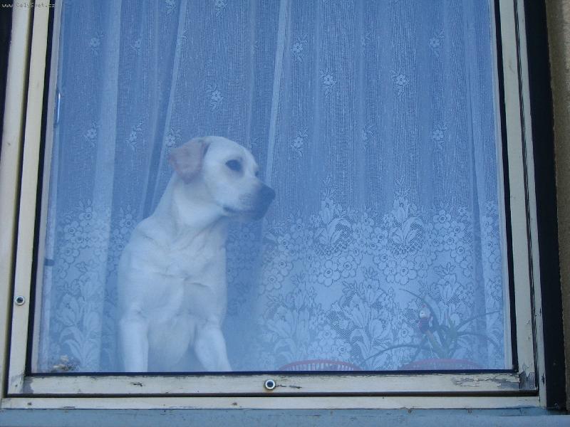 Foto: Sam��ek-Tak p�jde n�kdo kone�n� dom�???