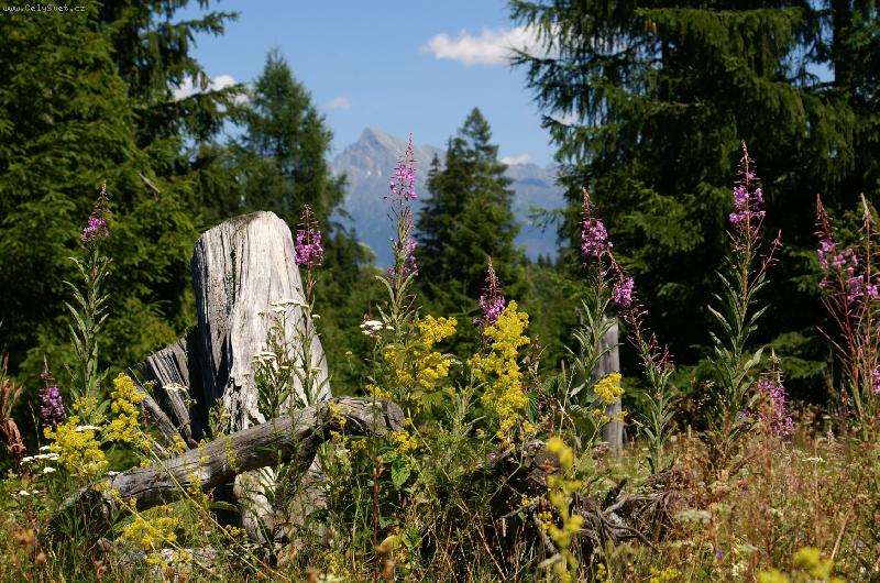 Foto: Pohled na Tatry