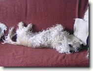 To je pov�len��ko !