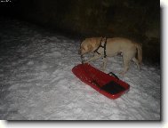 J� ten sn�h prost� miluju