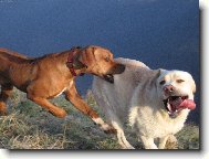 Neute�e� jsem lep��