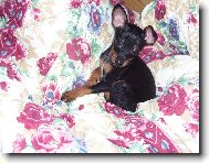 ��pkov� r��enka