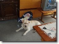 Takhle n�m Benik hl�d� Barunku