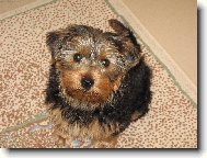 TADY M� M�TE