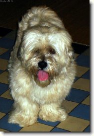 Moje l�se�ka! :)