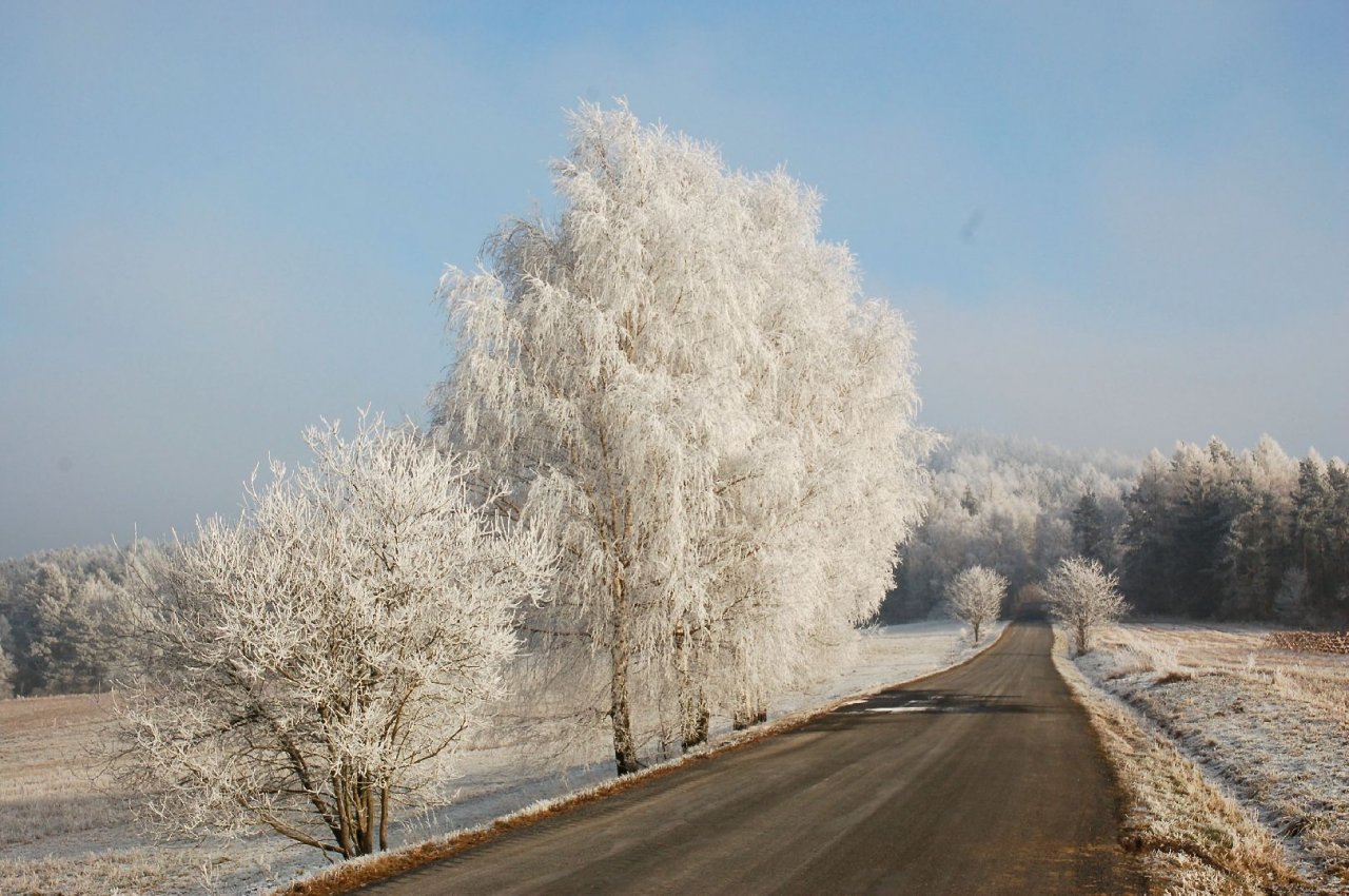 Foto: Zimn� cesta