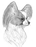 Chovatelska stanice ps�: PORUBSK� KV�T